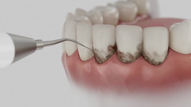 Reliable Dental contractor in Robesonia, PA by Dentist Open Now